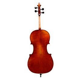 Eastman VC701 Rudoulf Doetsch Series Advanced Cello Outfit 4/4