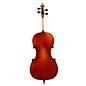 Eastman VC701 Rudoulf Doetsch Series Advanced Cello Outfit 4/4