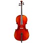 Eastman VC605 Master Series Advanced Cello Outfit 4/4 thumbnail