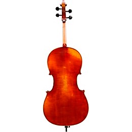 Eastman VC605 Master Series Advanced Cello Outfit 4/4