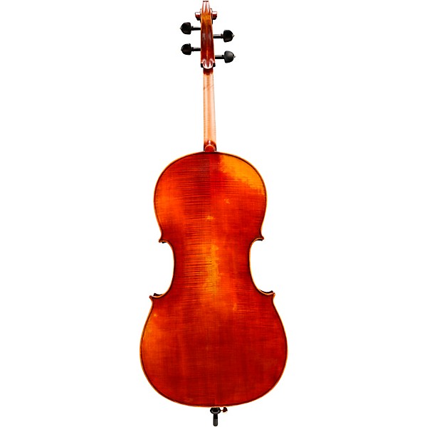 Eastman VC605 Master Series Advanced Cello Outfit 4/4