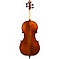 Eastman VC401 Ivan Dunov Series Step-Up Cello Outfit 4/4