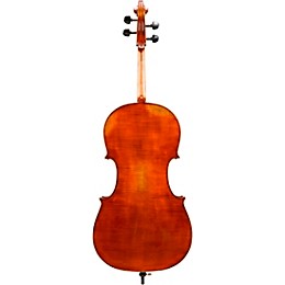 Eastman VC601 Albert Nebel Series Advanced Cello Outfit 4/4