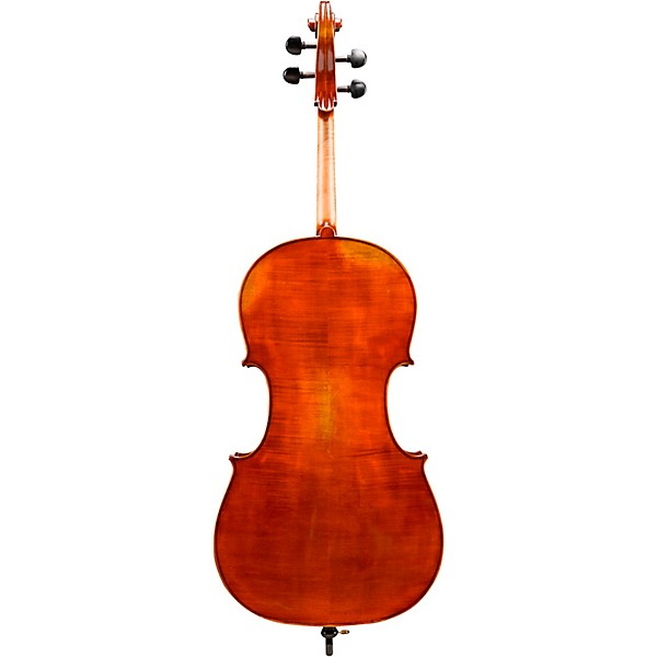 Eastman VC601 Albert Nebel Series Advanced Cello Outfit 4/4