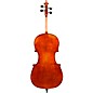 Eastman VC601 Albert Nebel Series Advanced Cello Outfit 4/4