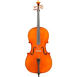 Eastman VC906 Master Series Professional Cello Outfit 4/4