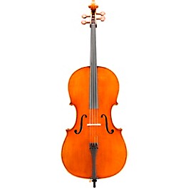 Eastman VC906 Master Series Professional Cello Outfit 4/4