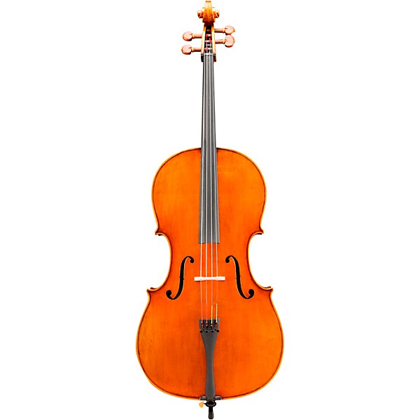 Eastman VC906 Master Series Professional Cello Outfit 4/4