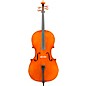 Eastman VC906 Master Series Professional Cello Outfit 4/4 thumbnail