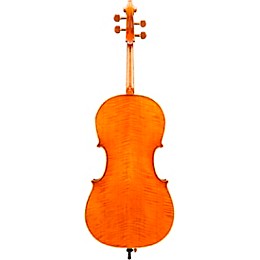 Eastman VC906 Master Series Professional Cello Outfit 4/4