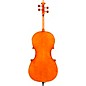 Eastman VC906 Master Series Professional Cello Outfit 4/4