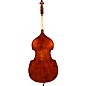 Eastman VB305GR Andreas Eastman Gamba Series Step-Up Double Bass Outfit 3/4