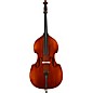 Eastman VB305GR Andreas Eastman Gamba Series Step-Up Double Bass Outfit 1/2 thumbnail