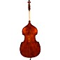 Eastman VB305GR Andreas Eastman Gamba Series Step-Up Double Bass Outfit 1/2