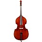 Eastman VB701GR Rudoulf Doetsch Gamba Series Professional Double Bass Outfit 3/4 thumbnail