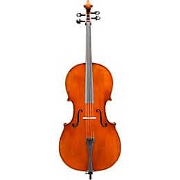 Eastman VC702 Series Professional Cello Outfit 4/4