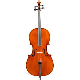 Eastman VC702 Series Professional Cello Outfit 4/4