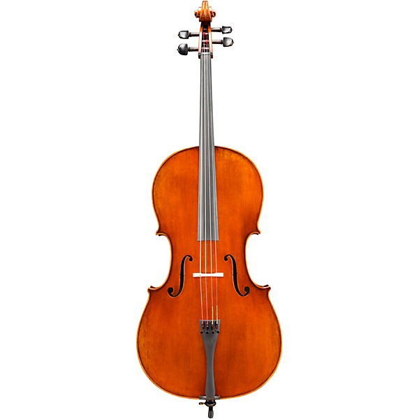 Eastman VC702 Series Professional Cello Outfit 4/4