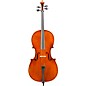 Eastman VC702 Series Professional Cello Outfit 4/4 thumbnail