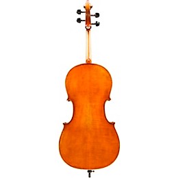 Eastman VC702 Series Professional Cello Outfit 4/4