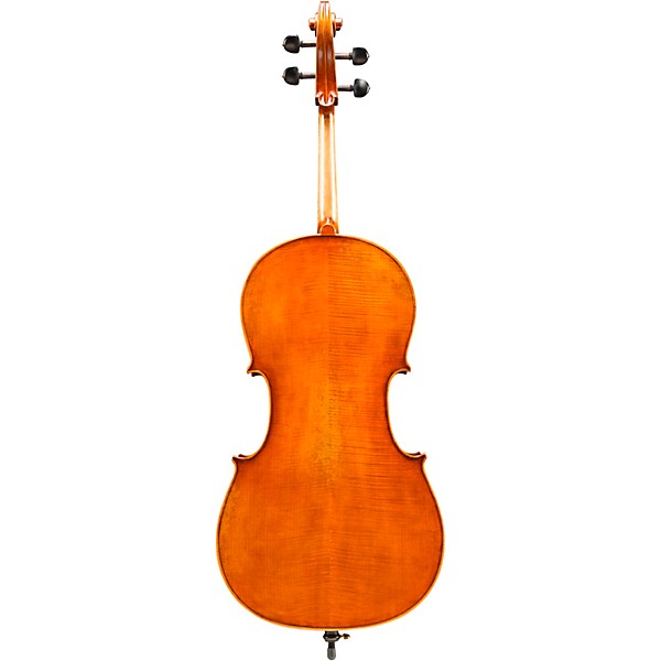 Eastman VC702 Series Professional Cello Outfit 4/4