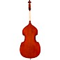 Eastman VB80 Samuel Eastman Series Student Double Bass Outfit 7/8