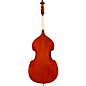 Eastman VB80 Samuel Eastman Series Student Double Bass Outfit 1/8