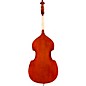 Eastman VB80 Samuel Eastman Series Student Double Bass Outfit 1/10