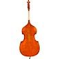 Eastman VB928 Raul Emiliani Series Professional Double Bass Outfit 3/4