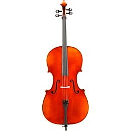 Eastman VC703 Frederich Wyss Series Professional Cello Outfit 4/4