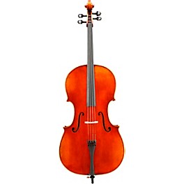 Eastman VC703 Frederich Wyss Series Professional Cello Outfit 4/4