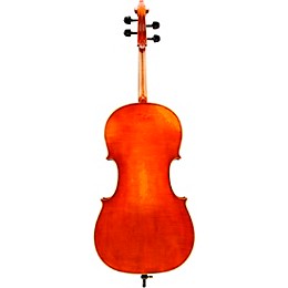 Eastman VC703 Frederich Wyss Series Professional Cello Outfit 4/4