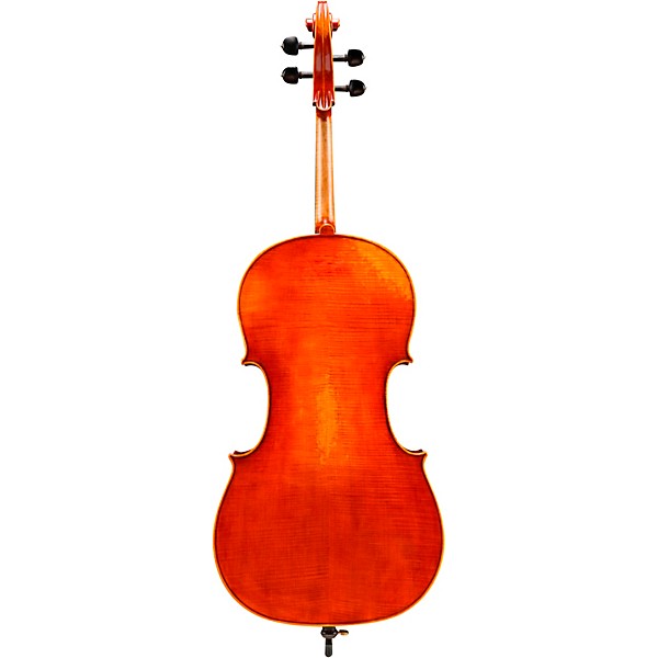 Eastman VC703 Frederich Wyss Series Professional Cello Outfit 4/4