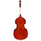 Eastman VB95GR Samuel Eastman Hybrid Series Student Double Bass Outfit 3/4