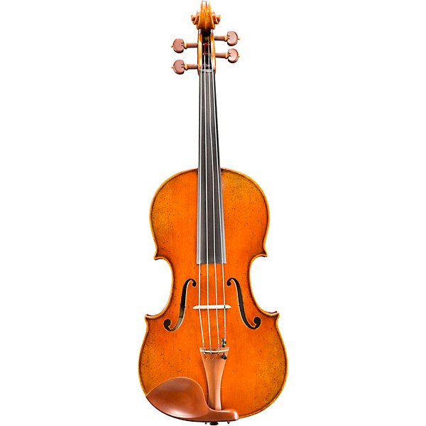 Eastman VA906 Master Series Professional Viola Outfit 16.5 in.