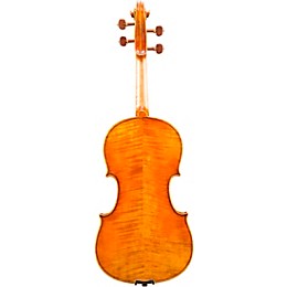 Eastman VA906 Master Series Professional Viola Outfit 16.5 in.