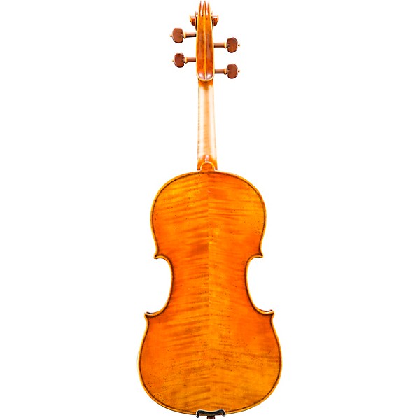 Eastman VA906 Master Series Professional Viola Outfit 16.5 in.