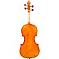 Eastman VA906 Master Series Professional Viola Outfit 16.5 in.