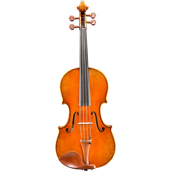 Eastman VA906 Master Series Professional Viola Outfit 16 in.