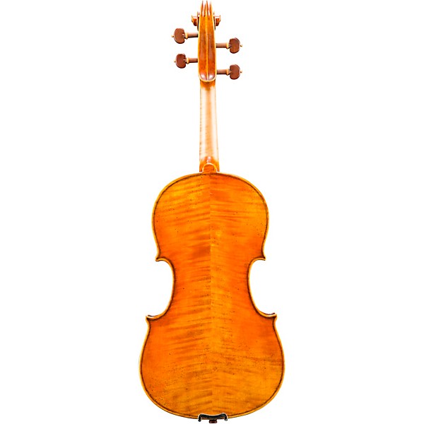 Eastman VA906 Master Series Professional Viola Outfit 16 in.