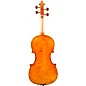 Eastman VA906 Master Series Professional Viola Outfit 16 in.