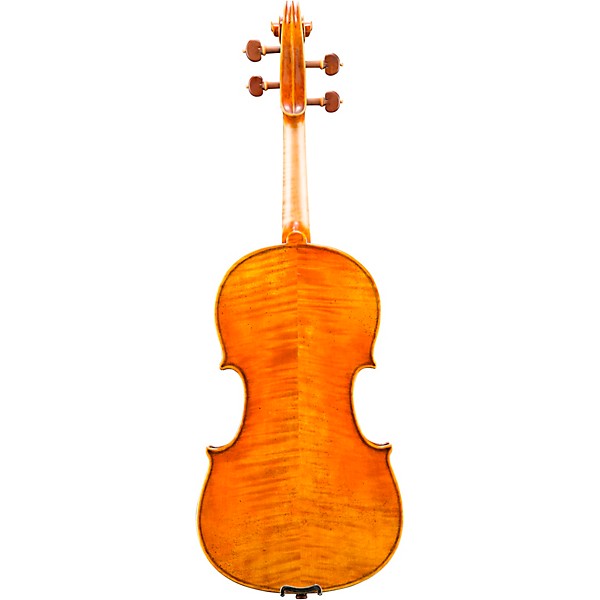 Eastman VA906 Master Series Professional Viola Outfit 15.5 in.