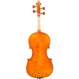 Eastman VA906 Master Series Professional Viola Outfit 15 in.