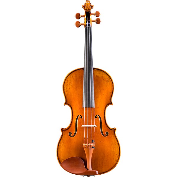 Eastman VA928 Raul Emiliani Series Professional Viola Outfit 16.5 in.