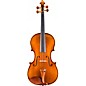 Eastman VA928 Raul Emiliani Series Professional Viola Outfit 16.5 in. thumbnail