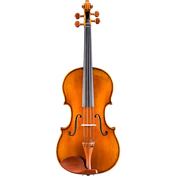 Eastman VA928 Raul Emiliani Series Professional Viola Outfit 16 in.