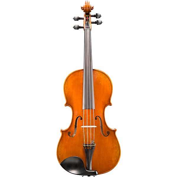 Eastman VA702 Series Professional Viola Outfit 16 in.