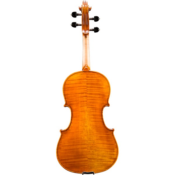 Eastman VA702 Series Professional Viola Outfit 16 in.