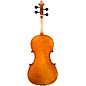 Eastman VA702 Series Professional Viola Outfit 16 in.