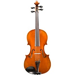 Eastman VA702 Series Professional Viola Outfit 15.5 in.